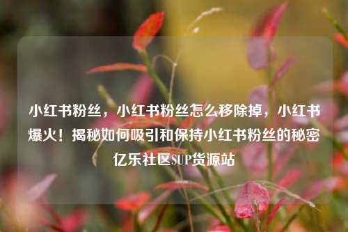 小红书粉丝，小红书粉丝怎么移除掉，小红书爆火！揭秘如何吸引和保持小红书粉丝的秘密亿乐社区SUP货源站  第1张