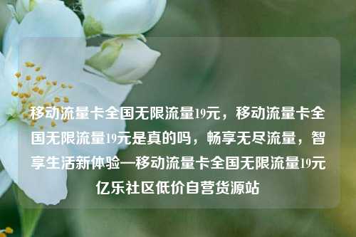 移动流量卡全国无限流量19元，移动流量卡全国无限流量19元是真的吗	，畅享无尽流量，智享生活新体验—移动流量卡全国无限流量19元亿乐社区低价自营货源站  第1张