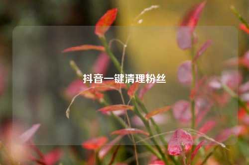 抖音一键清理粉丝  第1张