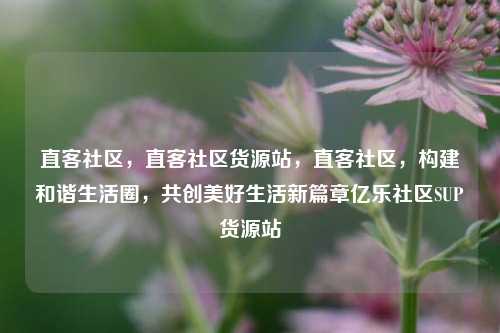 直客社区，直客社区货源站	，直客社区，构建和谐生活圈，共创美好生活新篇章亿乐社区SUP货源站  第1张