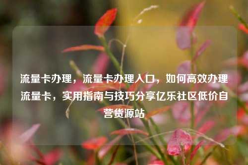流量卡办理，流量卡办理入口，如何高效办理流量卡，实用指南与技巧分享亿乐社区低价自营货源站  第1张