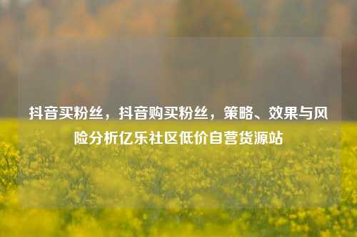 抖音买粉丝，抖音购买粉丝，策略、效果与风险分析亿乐社区低价自营货源站  第1张