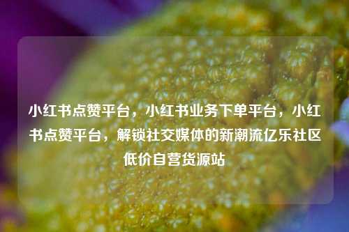 小红书点赞平台，小红书业务下单平台，小红书点赞平台	，解锁社交媒体的新潮流亿乐社区低价自营货源站  第1张