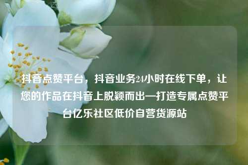 抖音点赞平台，抖音业务24小时在线下单，让您的作品在抖音上脱颖而出—打造专属点赞平台亿乐社区低价自营货源站  第1张