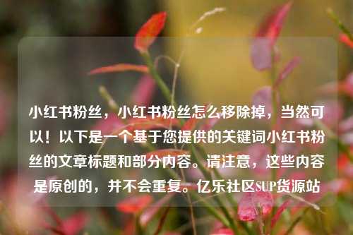 小红书粉丝，小红书粉丝怎么移除掉	，当然可以！以下是一个基于您提供的关键词小红书粉丝的文章标题和部分内容。请注意，这些内容是原创的，并不会重复	。亿乐社区SUP货源站  第1张
