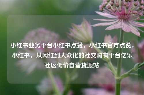 小红书业务平台小红书点赞，小红书官方点赞	，小红书，从网红到大众化的社交购物平台亿乐社区低价自营货源站  第1张